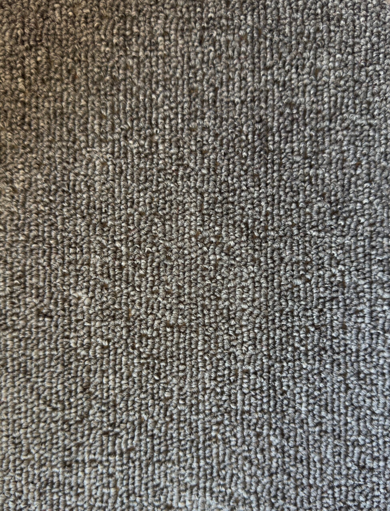 Alfombra Muro a Muro Gama 400 5mm - Imagen 10