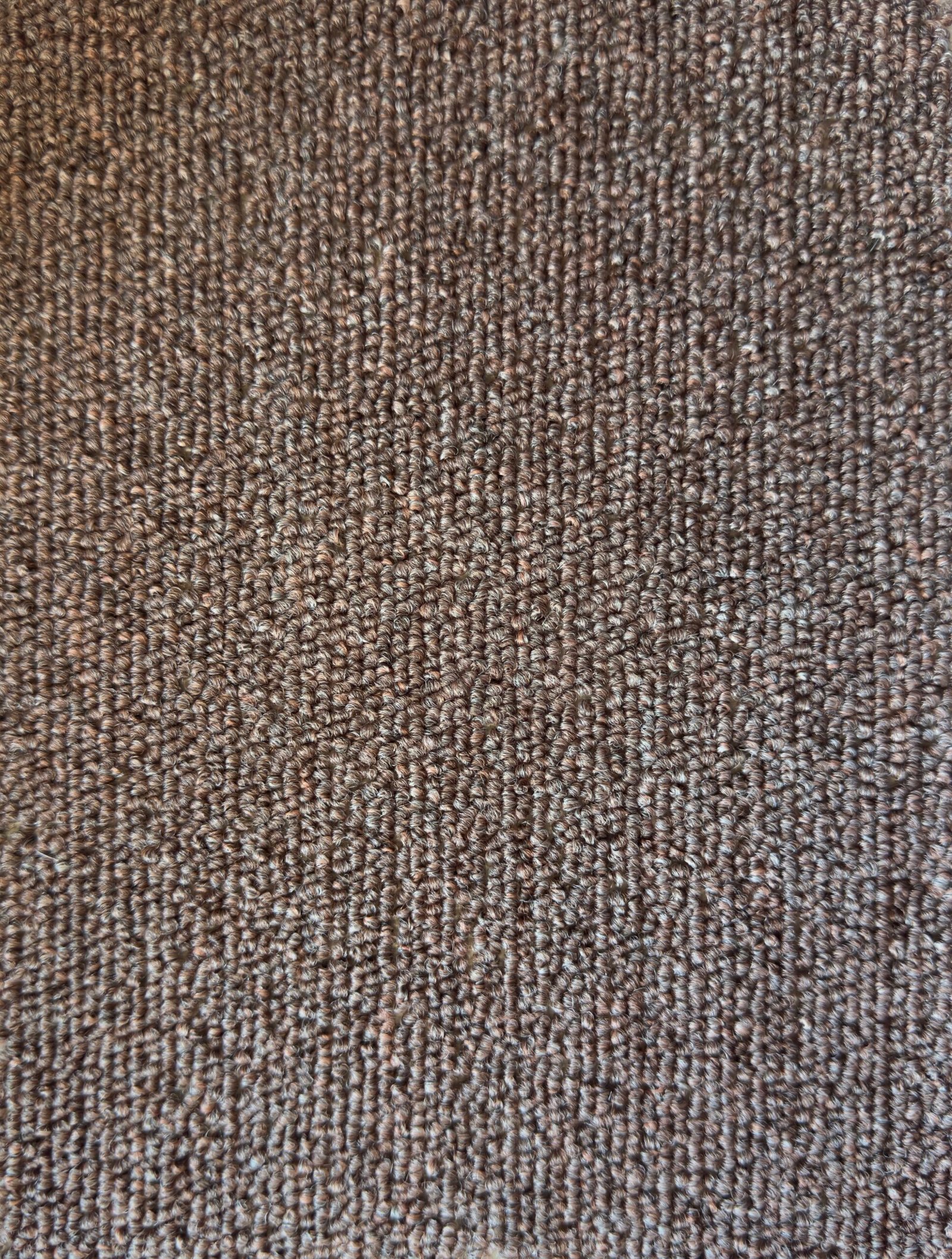 alfombra-muro-a-muro-gama-91-5mm