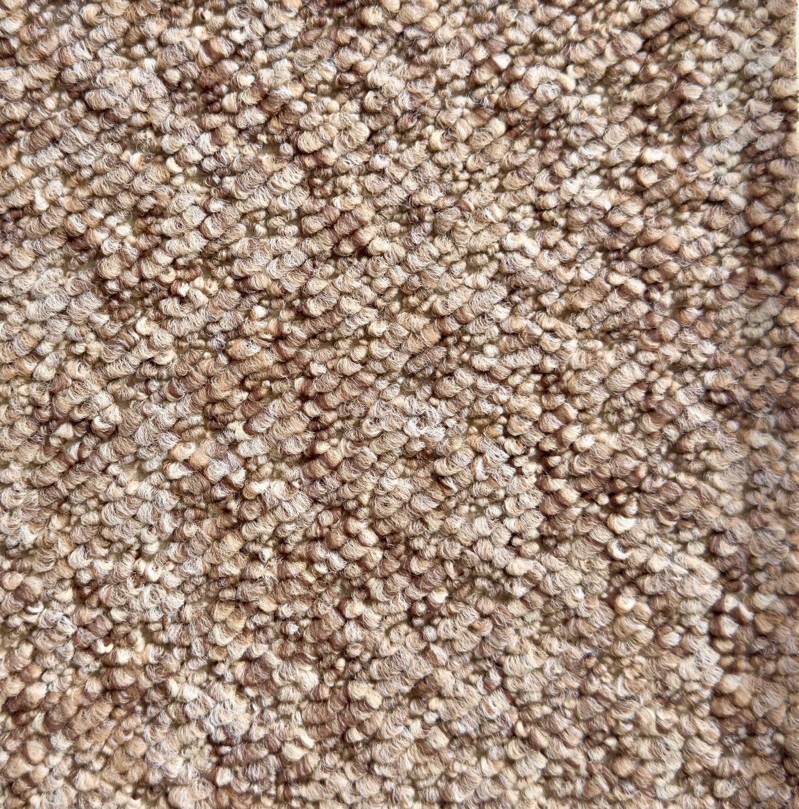 Alfombra Omega 600g Berber - Imagen 2