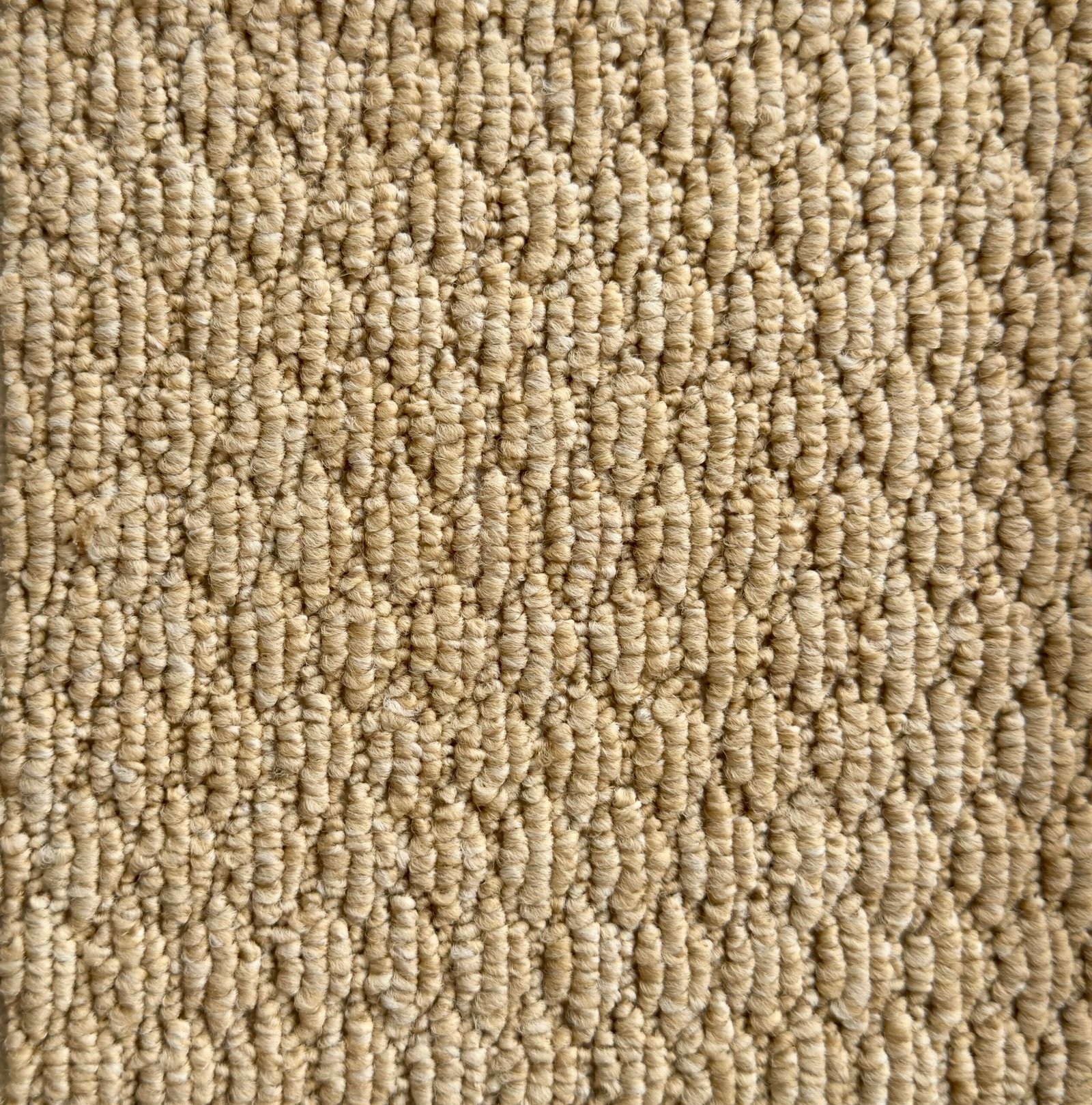 Alfombra Atlas 950g - Imagen 2