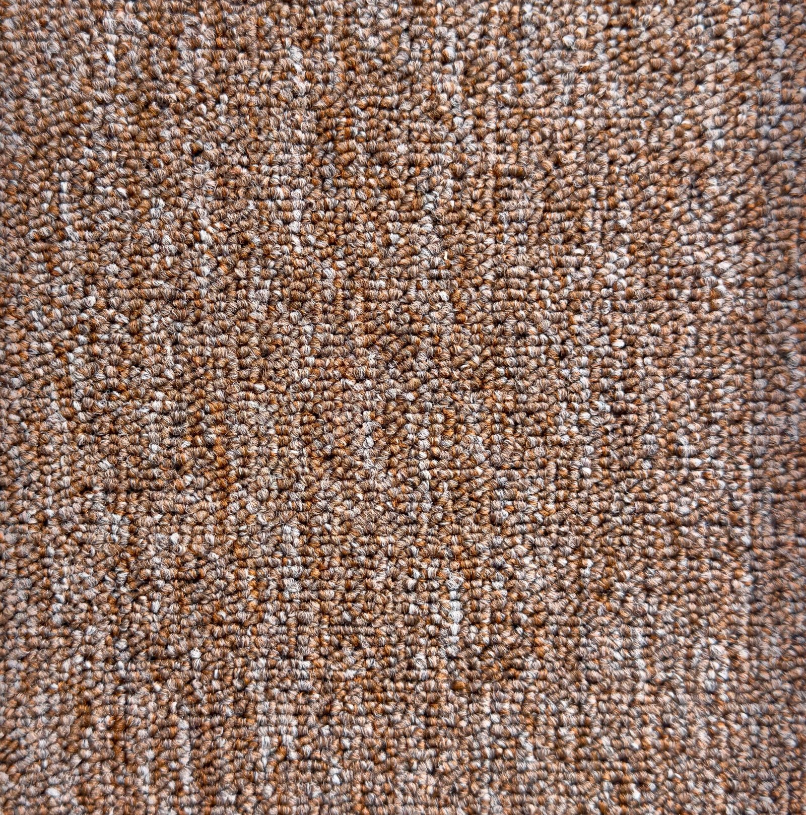 Alfombra Rally 380g Boucle - Imagen 2