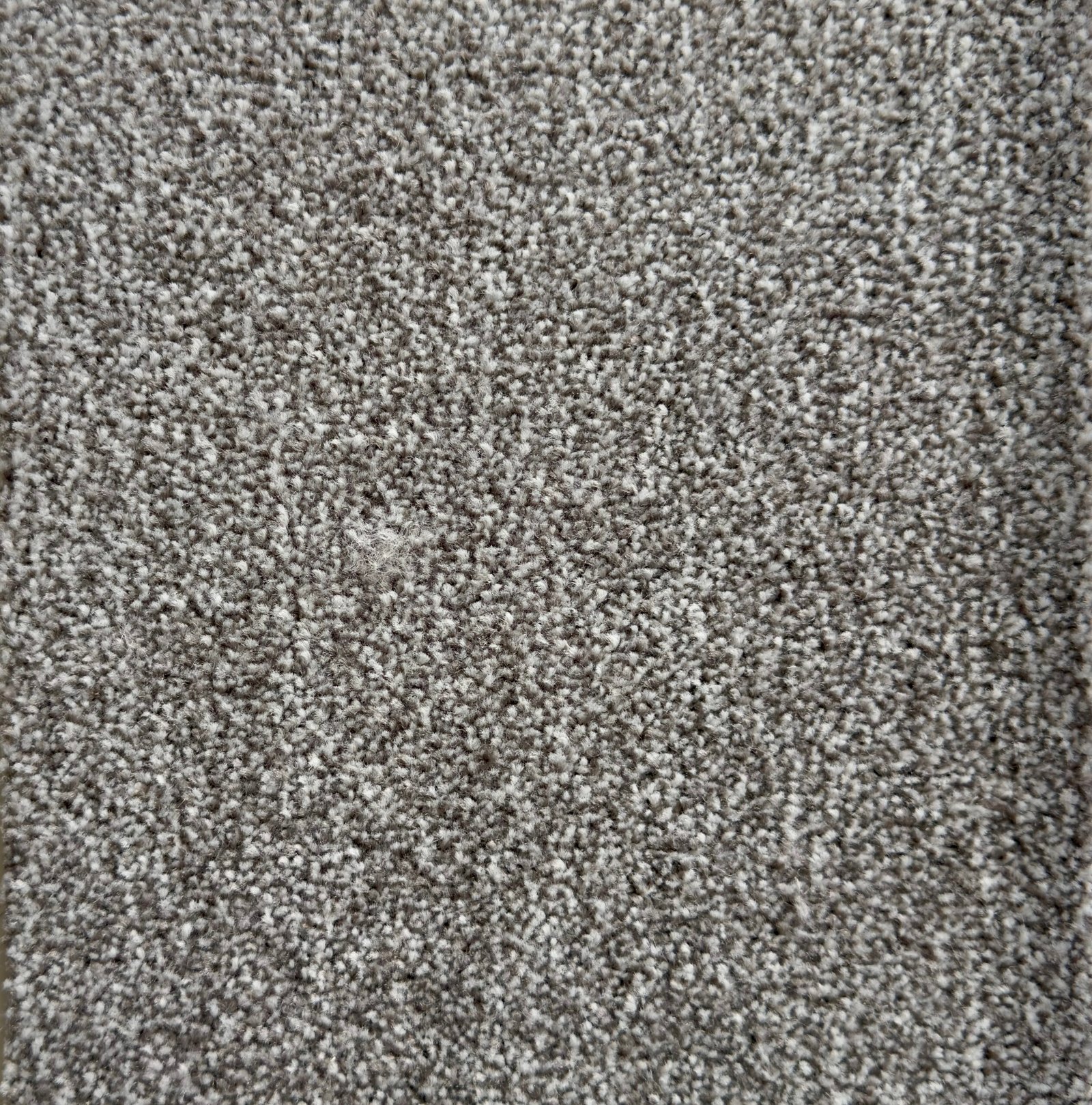 Alfombra Brooklyn 10mm - Imagen 2