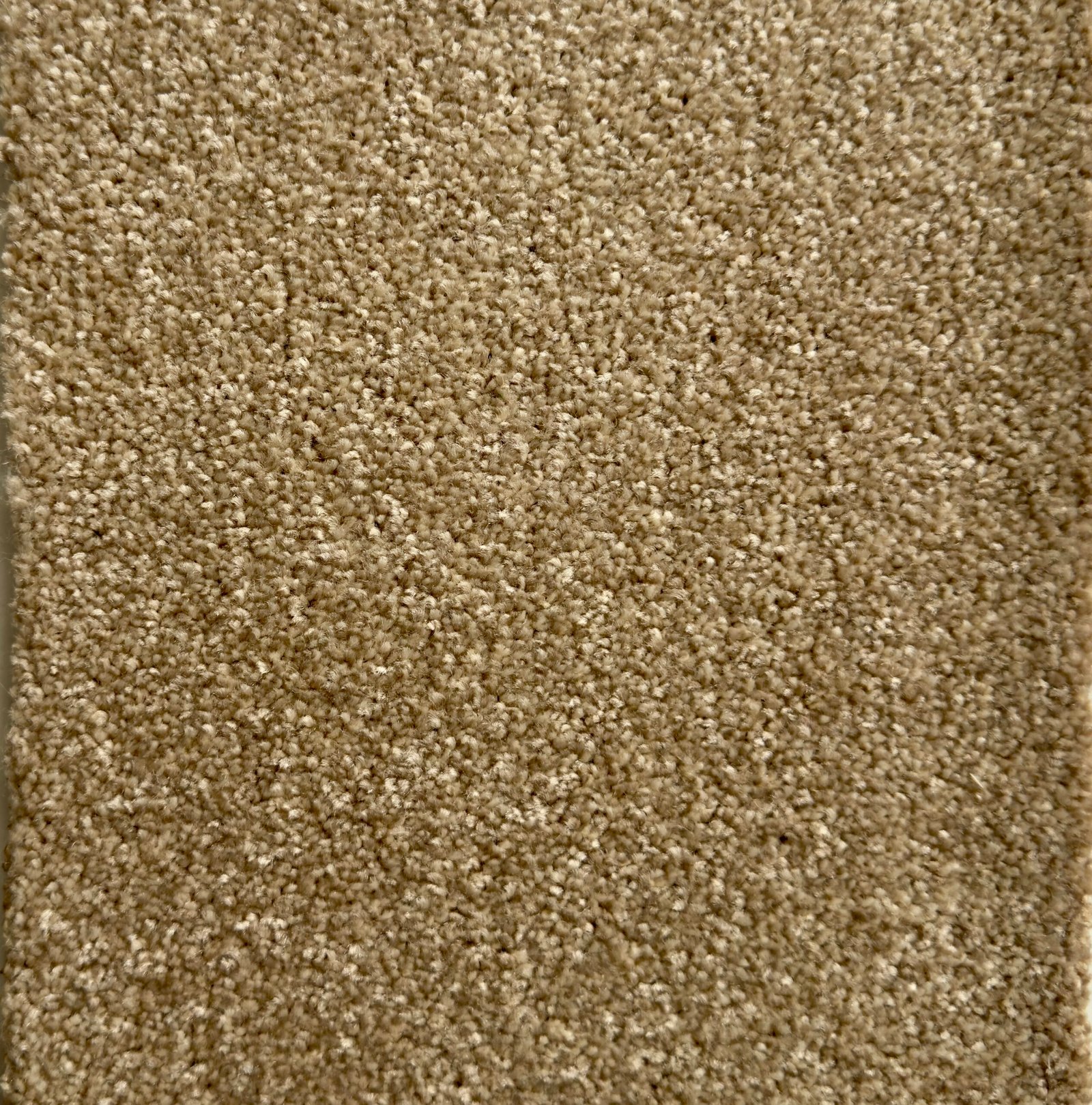 Alfombra Brooklyn 10mm - Imagen 3